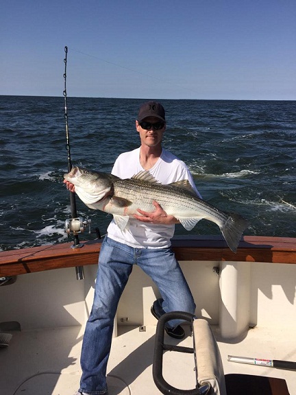 Deltaville Striper May 2nd 2015